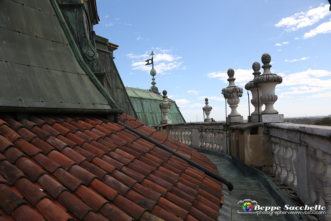 VBS_5973 - Sotto il Cervo - Palazzina di Caccia di Stupinigi.jpg